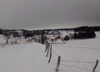 Sjenica  / Djeca se do škole probijaju po snijegu , majka 4 mališana nosi na leđima i rukama