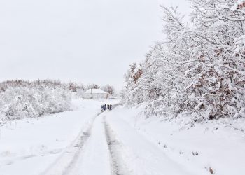 (VIDEO) Zime su zadnjih 10-15 godin u tutinskoj opštini znatno blaže i sa manje snijega nego ranije