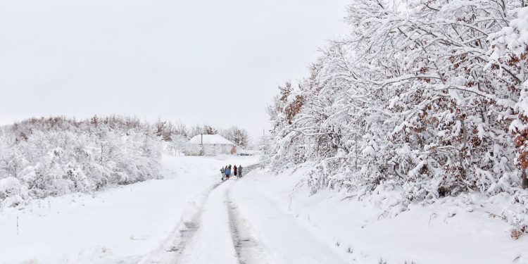 (VIDEO) Zime su zadnjih 10-15 godin u tutinskoj opštini znatno blaže i sa manje snijega nego ranije