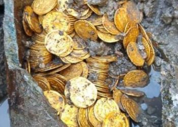 JAZAVAC napravio sjajno arheološko otkriće: Pronašao STARE RIMSKE KOVANICE