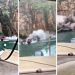 (VIDEO) HOROR SNIMAK: Stijena se obrušila na turiste, veliki broj smrtno stradalih…