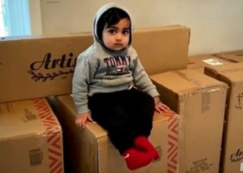 Nevjerovatno / Dvogodišnjak naručio namještaj u vrijednosti od 1550 Eura