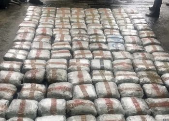 Uhapšena kriminalna grupa zbog krijumčarenja marihuane iz Crne Gore u Srbiju