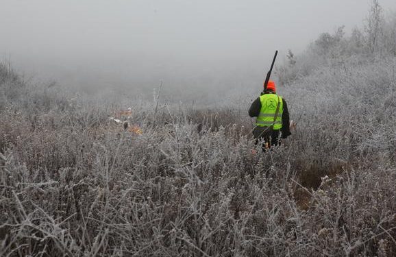 UPUCAO PRIJATELJA jer je MISLIO da je DIVLJA SVINJA