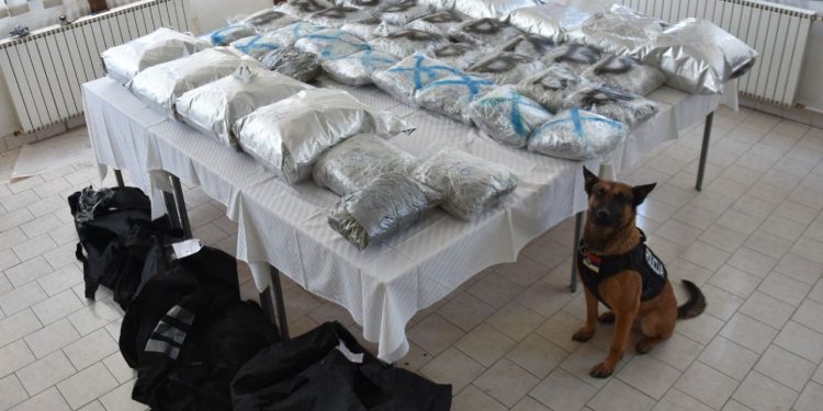 NOVOPAZARSKA POLICIJA ZAPLENILA VELIKU KOLIČINU DROGE! Kod Tutina uhapšena organizovana grupa kriminalaca (FOTO)