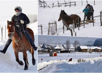 KAD DRVO PUCA OD MRAZA: Ovako se živi u najhladnijem srpskom selu NA MINUS 31, a NI VUKOVI NE IZLAZE NAPOLJE! FOTO