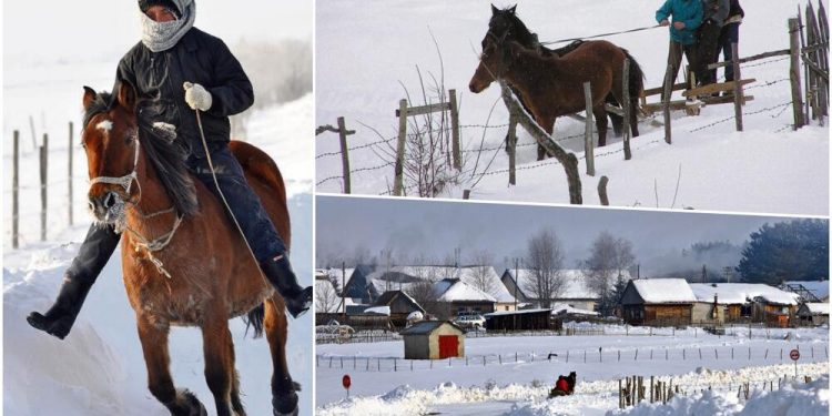 KAD DRVO PUCA OD MRAZA: Ovako se živi u najhladnijem srpskom selu NA MINUS 31, a NI VUKOVI NE IZLAZE NAPOLJE! FOTO