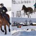 KAD DRVO PUCA OD MRAZA: Ovako se živi u najhladnijem srpskom selu NA MINUS 31, a NI VUKOVI NE IZLAZE NAPOLJE! FOTO