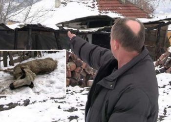 Novi Pazar: U požaru ostali bez poljoprivrednog gazdinstva, potrebna im pomoć!