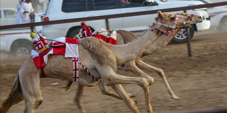 U Sudanu održane utrke deva