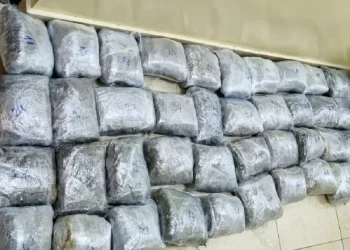 U pograničnom pojasu sa Crnom Gorom zaplenjeno 42 kilograma marihuane