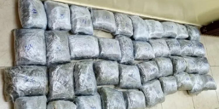 U pograničnom pojasu sa Crnom Gorom zaplenjeno 42 kilograma marihuane