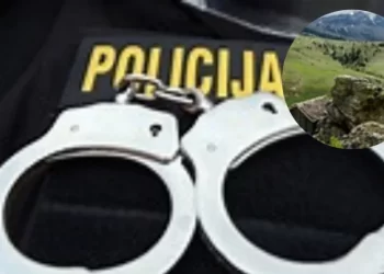 Uhapšen Rožajac, krijumčario državljane Pakistana