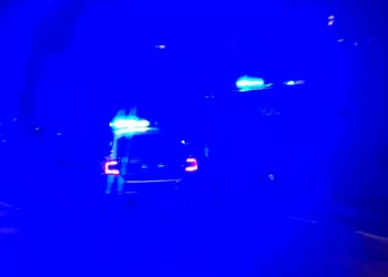 UBISTVO U SELU MOJSTIR KRAJ TUTINA: Rukama usmrtio čoveka