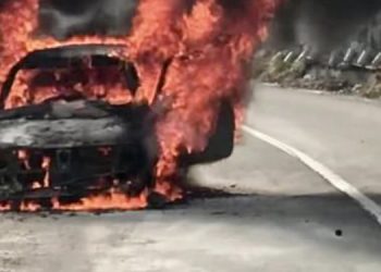 Kod Tutina izgoreo automobil- pogledajte video sa lica mjesta