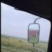 VIDEO: Crni panter navodno ponovo viđen i to kod Feketića