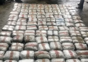 REKORDNA ZAPLENA DROGE! Novopazarska policija zaplenila oko 100 kilograma narkotika