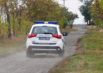 POŠLI U POTERU ZA UKRADENIM JAGNJETOM PA SE SUDARILI SA LOPOVIMA! Detalji bizarnog udesa u Smederevu
