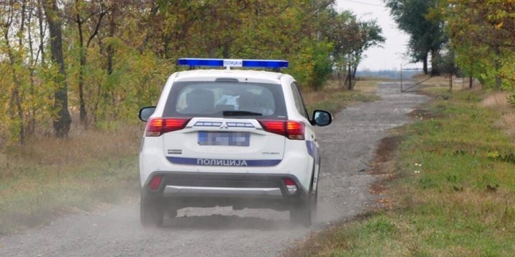 POŠLI U POTERU ZA UKRADENIM JAGNJETOM PA SE SUDARILI SA LOPOVIMA! Detalji bizarnog udesa u Smederevu