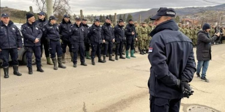 Masovna potraga za nestalim Ramizom Rožajcem koji je upao u Trnavicu