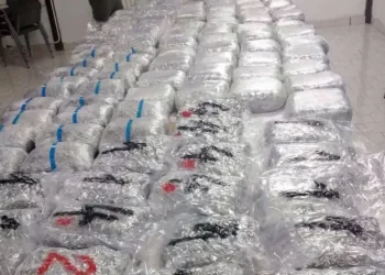 U kamionu iz Turske na prelazu Gradina pronadjeno 220 kg marihuane