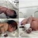 Hiljade ljudi želi usvojiti bebu rođenu ispod ruševina u Siriji