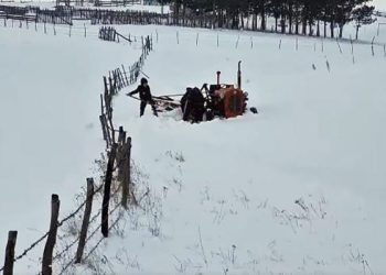 (VIDEO) Pogledajte kako se Pešterci bore sa velikim snijegom