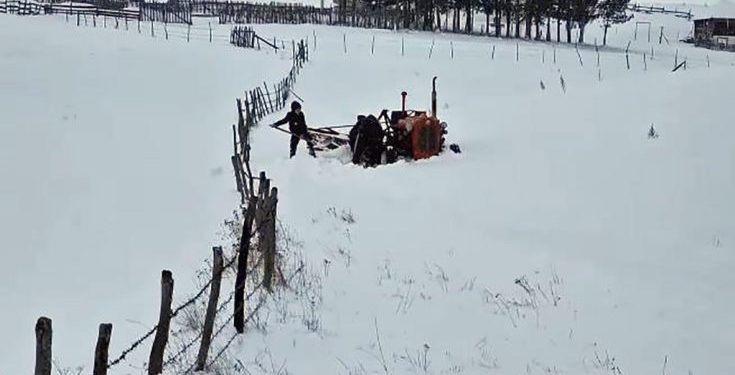 (VIDEO) Pogledajte kako se Pešterci bore sa velikim snijegom