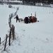 (VIDEO) Pogledajte kako se Pešterci bore sa velikim snijegom