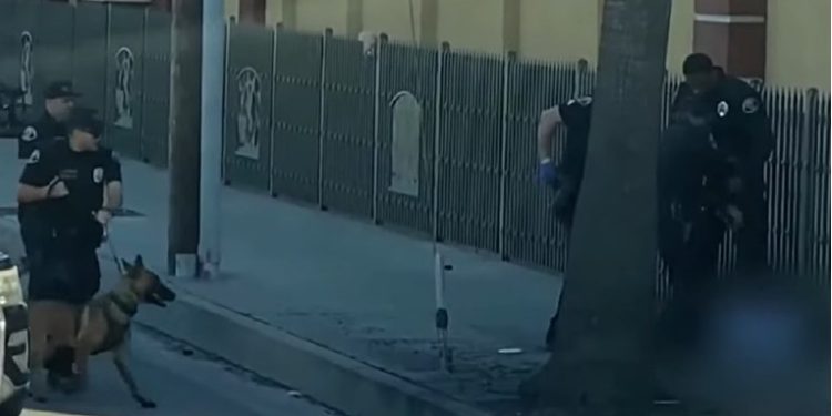 VIDEO Policija u SAD-u ubila crnca s amputiranim nogama. Prije toga je izbo čovjeka