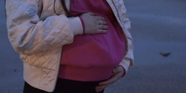 Novi Pazar: Čopor pasa izujedao trudnicu (Video)
