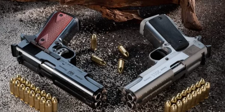 Novopazarska policija kod Tutinca pronašla dva pištolja i oko 100 metaka