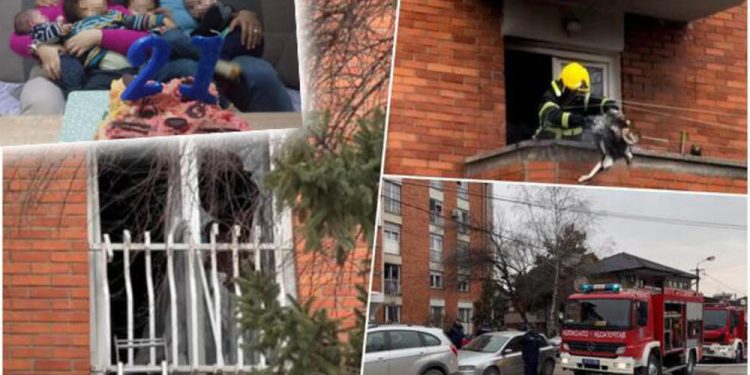 OSTAO BEZ 4 DJECE, ALI I KOŽE SPASAVAJUĆI IH IZ VATRE! Egipćanin preživeo tragediju u Novom Pazaru, sada se oglasio njegov brat