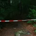 TIJELO NESTALE TINEJDŽERKE NAĐENO ZAKOPANO U ŠUMI! UŽAS U NJEMAČKOJ: ZBOG ZLOČINA UHAPŠEN OTAC TROJE DJECE