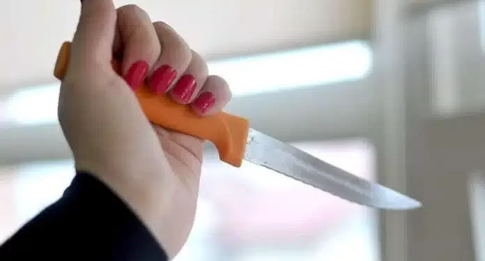 PIJANA ŽENA ZARILA MUŽU NOŽ U GRUDI