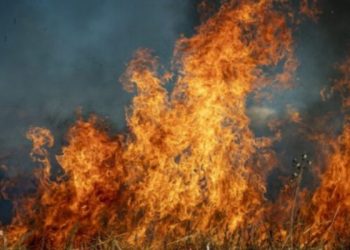 BiH: Š.P. (38) palila mokro granje s benzinom, pa zapalila sebe