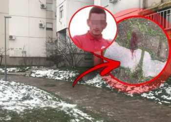 Ibrahimović osuđen na kaznu zatvora od 10 godina zbog ubistva druga