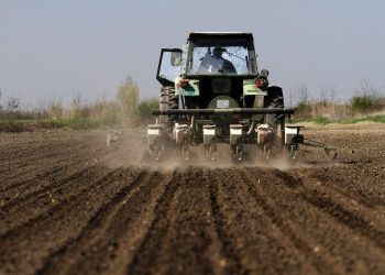 Tanasković: Od danas ratari mogu da se prijave za subvencije po hektaru