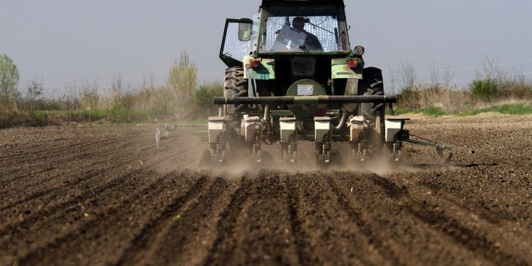 Tanasković: Od danas ratari mogu da se prijave za subvencije po hektaru