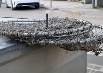 /VIDEO/ Tutin: Akcija humanog hvatanja pasa lutalica počinje u ponedjeljak