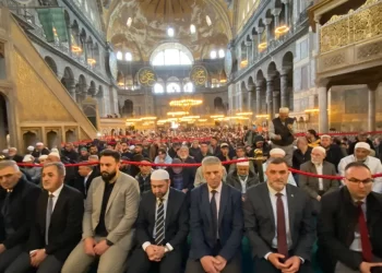 Privilegija za delegaciju Bošnjaka iz Sandžaka, bezrezerva podrška Erdoganu