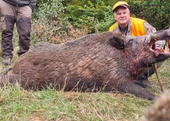 Sabahudin Zukorlić lovac iz Tutina, ulovio kapitalca divlju svinju na Pešteri