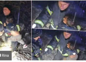 Video sa lica mjesta : Poginula trudnica kod Tutina