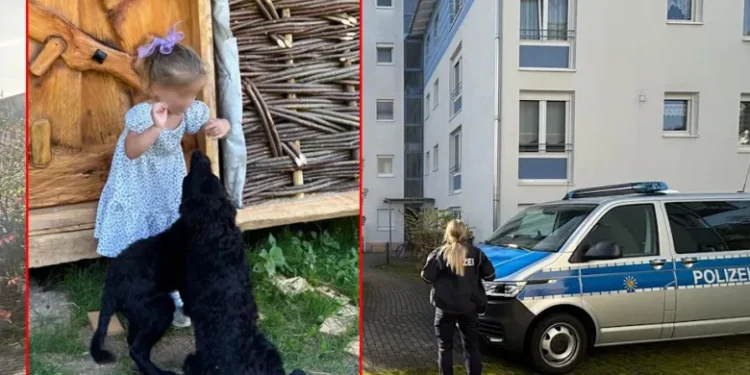 Tragedija u Njemačkoj: Djevojčica iz Tutina preminula nakon napada starije sestre